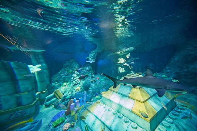 「サブマリン・アドベンチャー」から見た海底の様子。レゴ®ブロックでできた古代遺跡のまわりに本物のサメが出現！