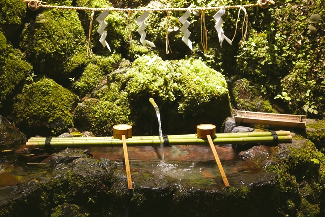 ↑京都市内の料亭の料理人たちも汲みにくるという神水