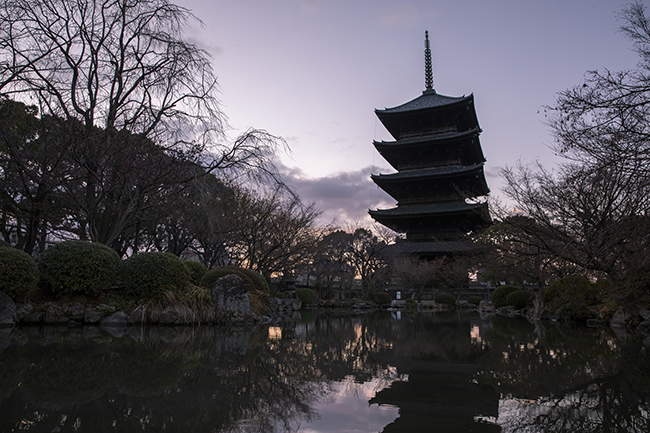 木造としては日本一の高さを誇る五重塔を、池の逆側からとらえたカット。黒いシルエットのなかに、夜が明けるにつれて徐々にディテールが浮かび上がってくる。