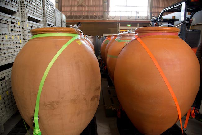 ワインを醸造・貯蔵する壺（アンフォラ）はスペインから買い付けた。