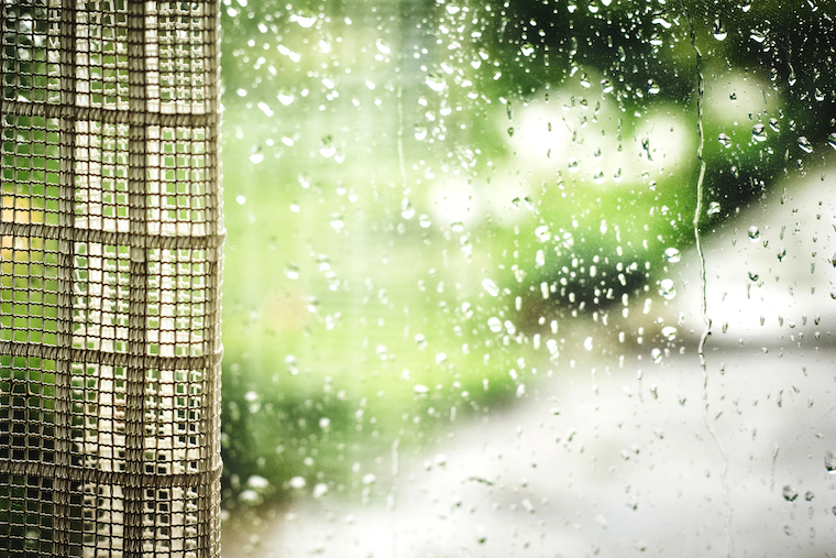 高温多湿な部屋はカビの温床 部屋別 梅雨時に家中で行うべき カビ対策 ルール Living アットリビング