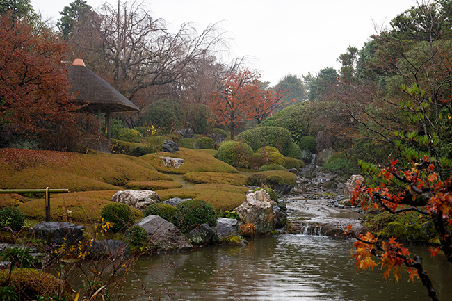 池泉回遊式庭園の中心にある池は、瓢鮎図を所蔵する寺らしく「ひょうたん池」と名付けられている。