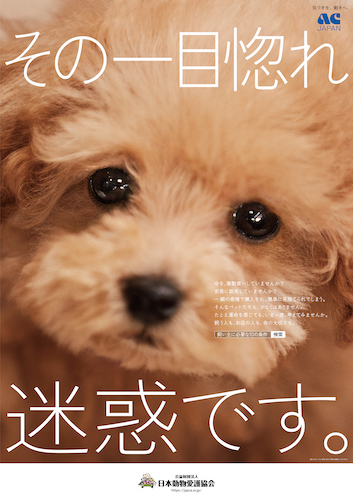 日本動物愛護協会とACジャパンによるポスター。ペットの衝動買いに警鐘を鳴らし、命の大切さを問う内容となっている。